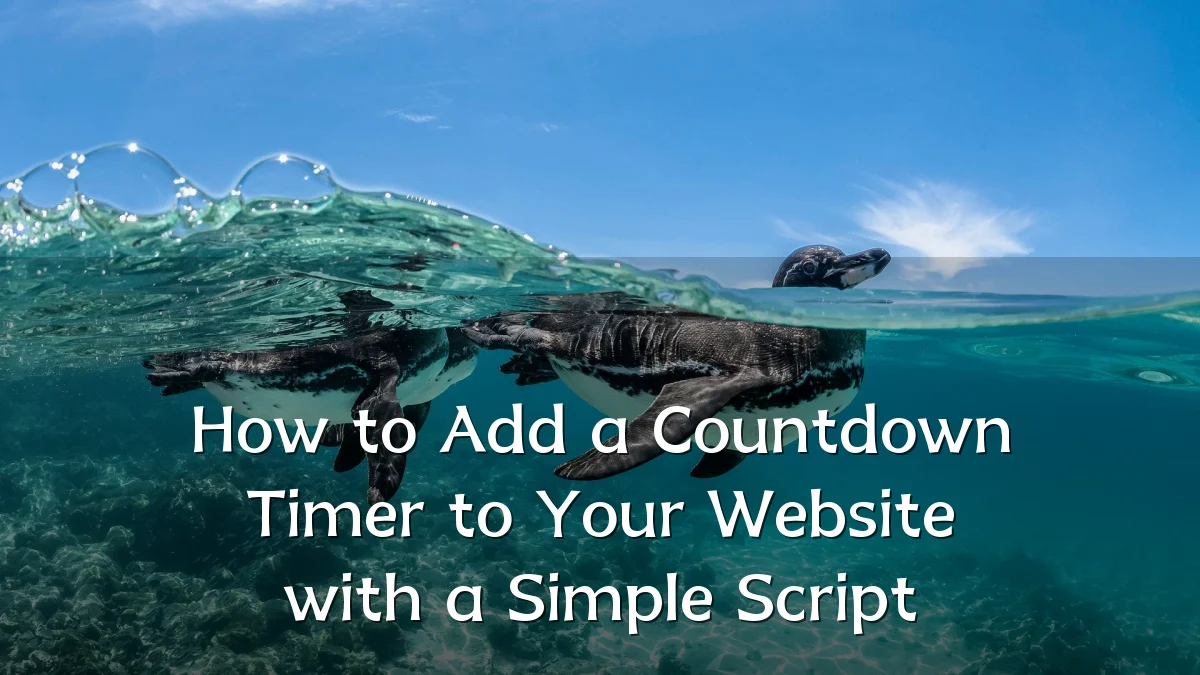 How to Add a Countdown Timer to Your Website with a Simple Script