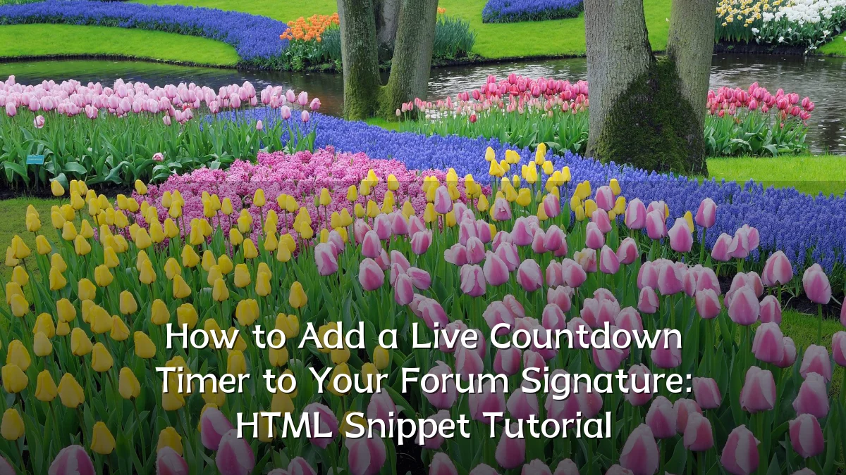 How to Add a Live Countdown Timer to Your Forum Signature: HTML Snippet Tutorial