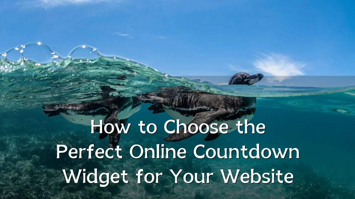 How to Choose the Perfect Online Countdown Widget for Your Website