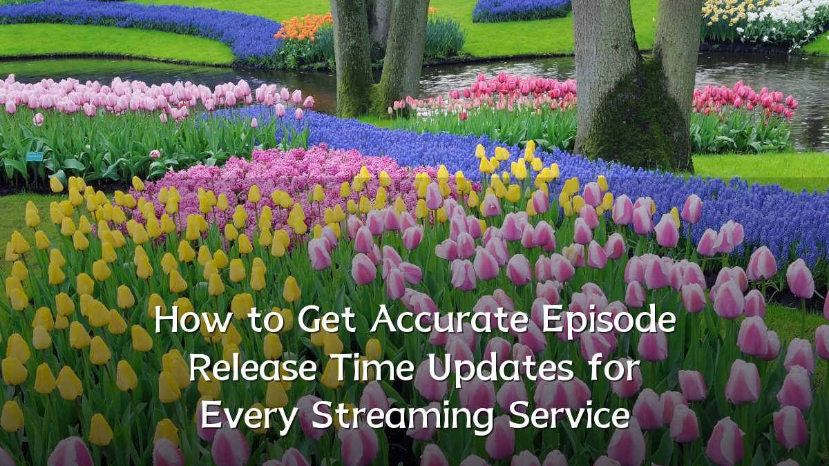 How to Get Accurate Episode Release Time Updates for Every Streaming Service