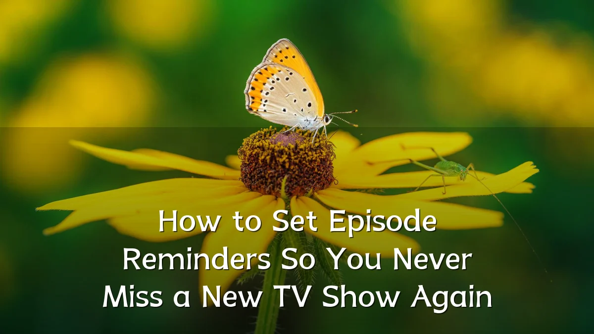 How to Set Episode Reminders So You Never Miss a New TV Show Again