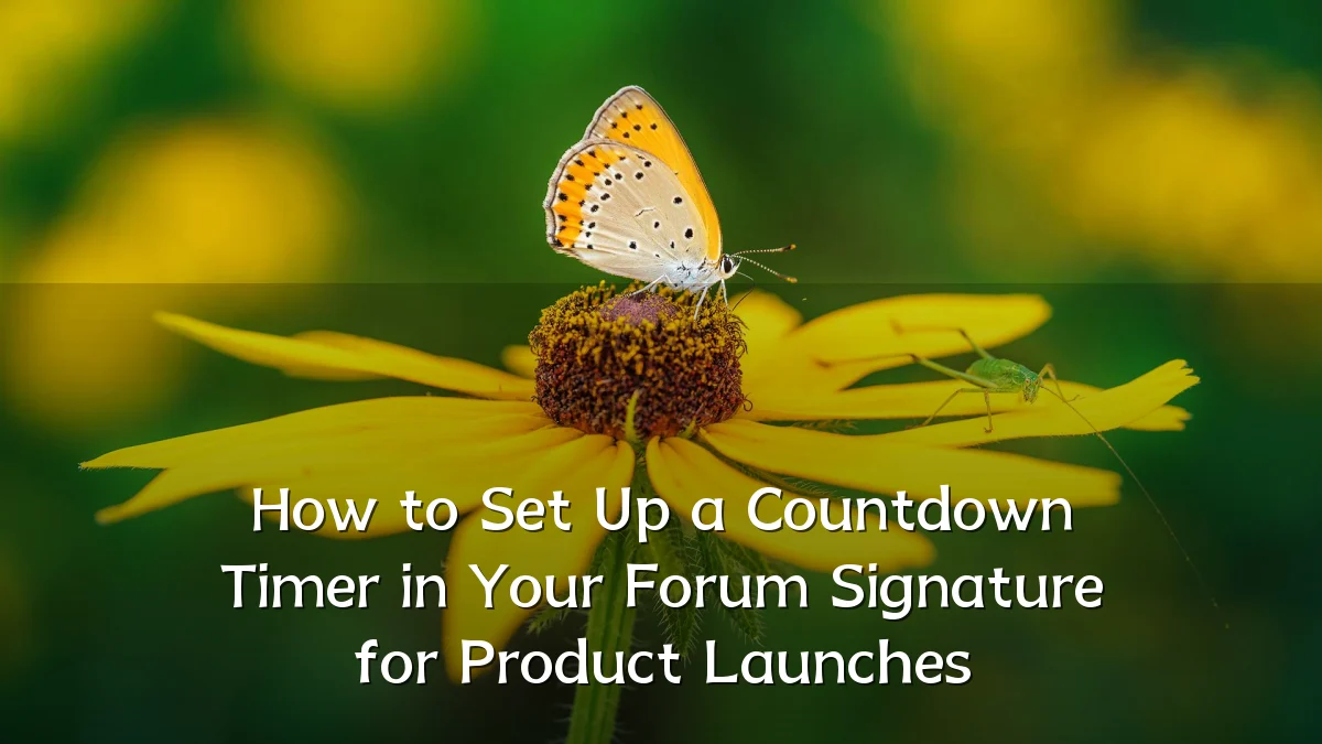 How to Set Up a Countdown Timer in Your Forum Signature for Product Launches