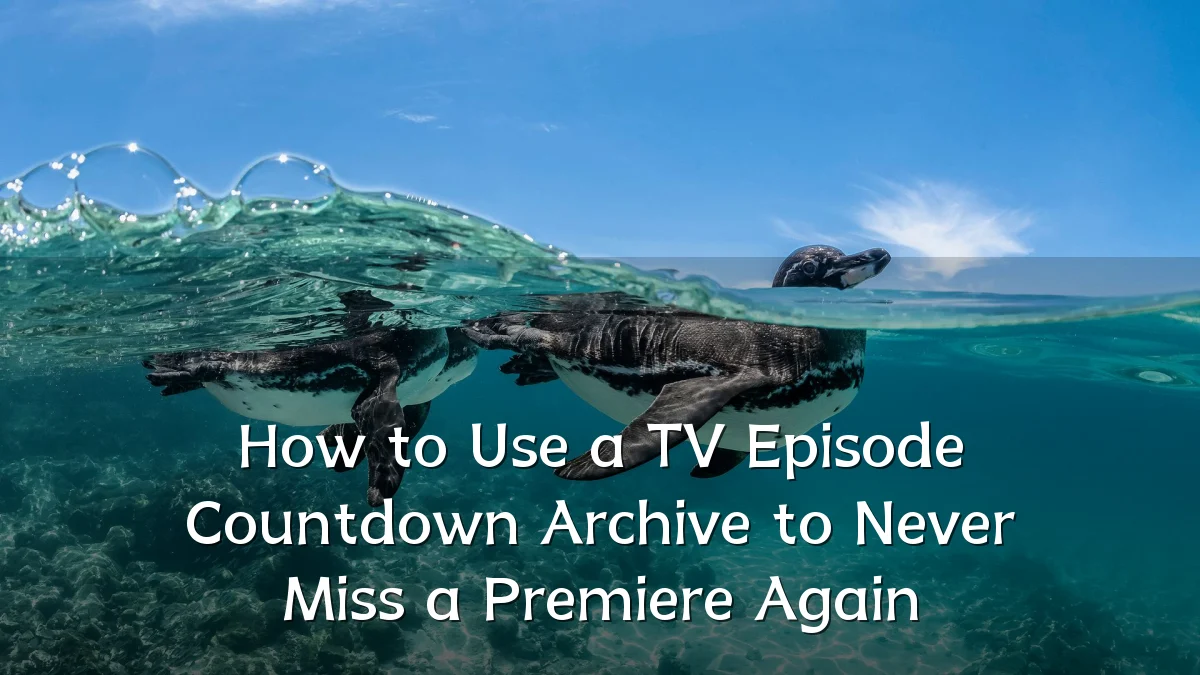 How to Use a TV Episode Countdown Archive to Never Miss a Premiere Again