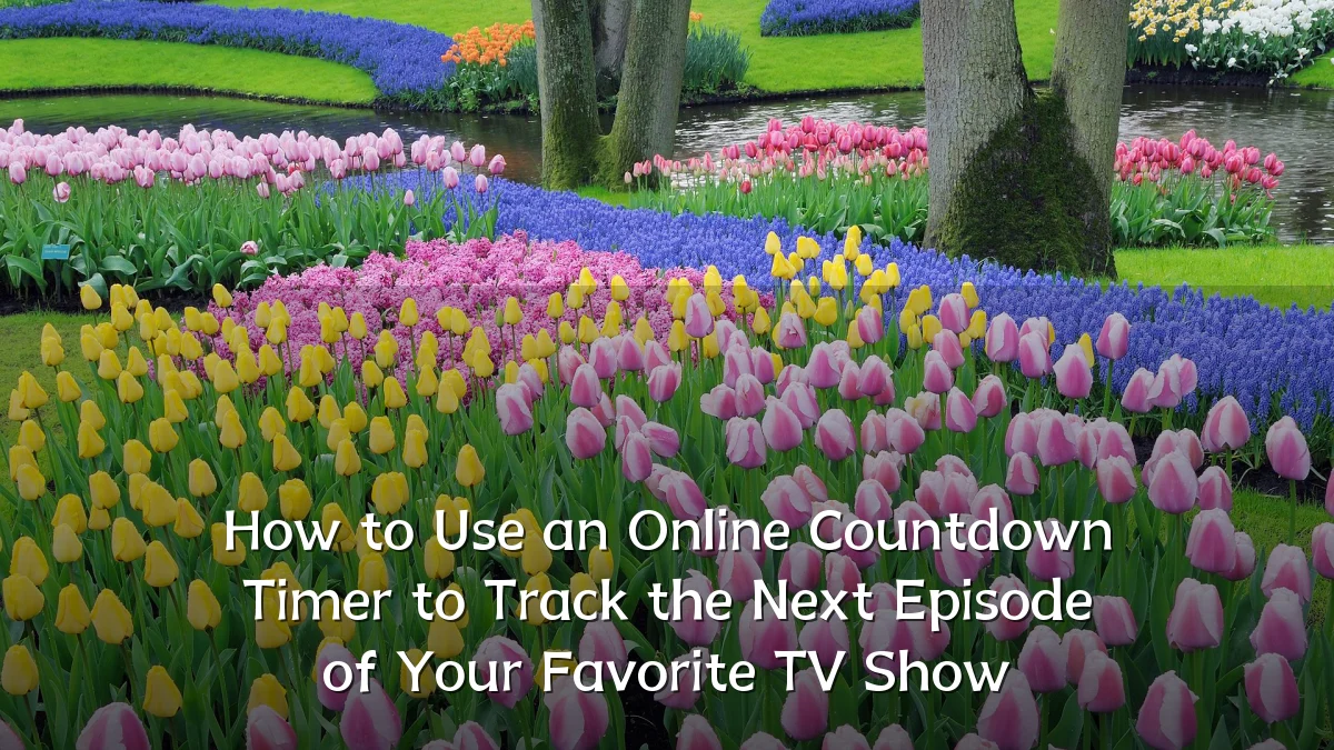 How to Use an Online Countdown Timer to Track the Next Episode of Your Favorite TV Show