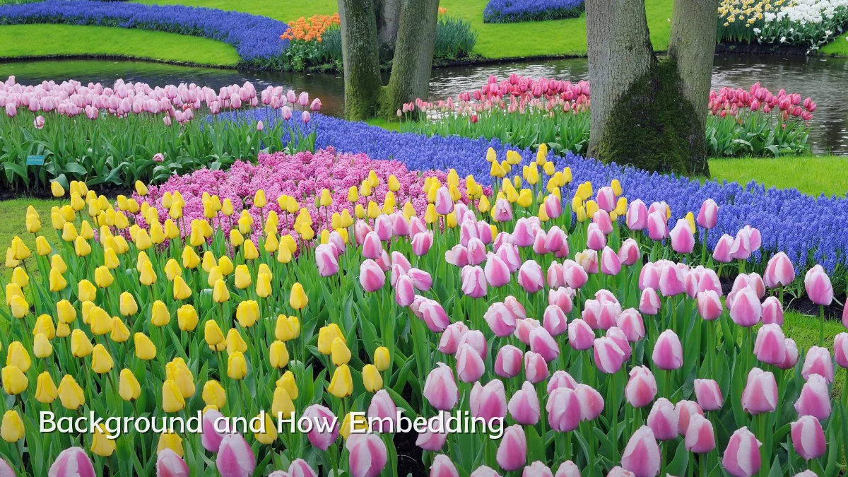 Background and How Embedding