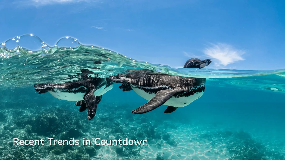 Recent Trends in Countdown