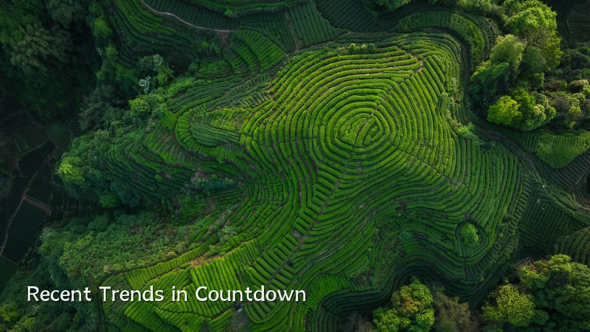Recent Trends in Countdown
