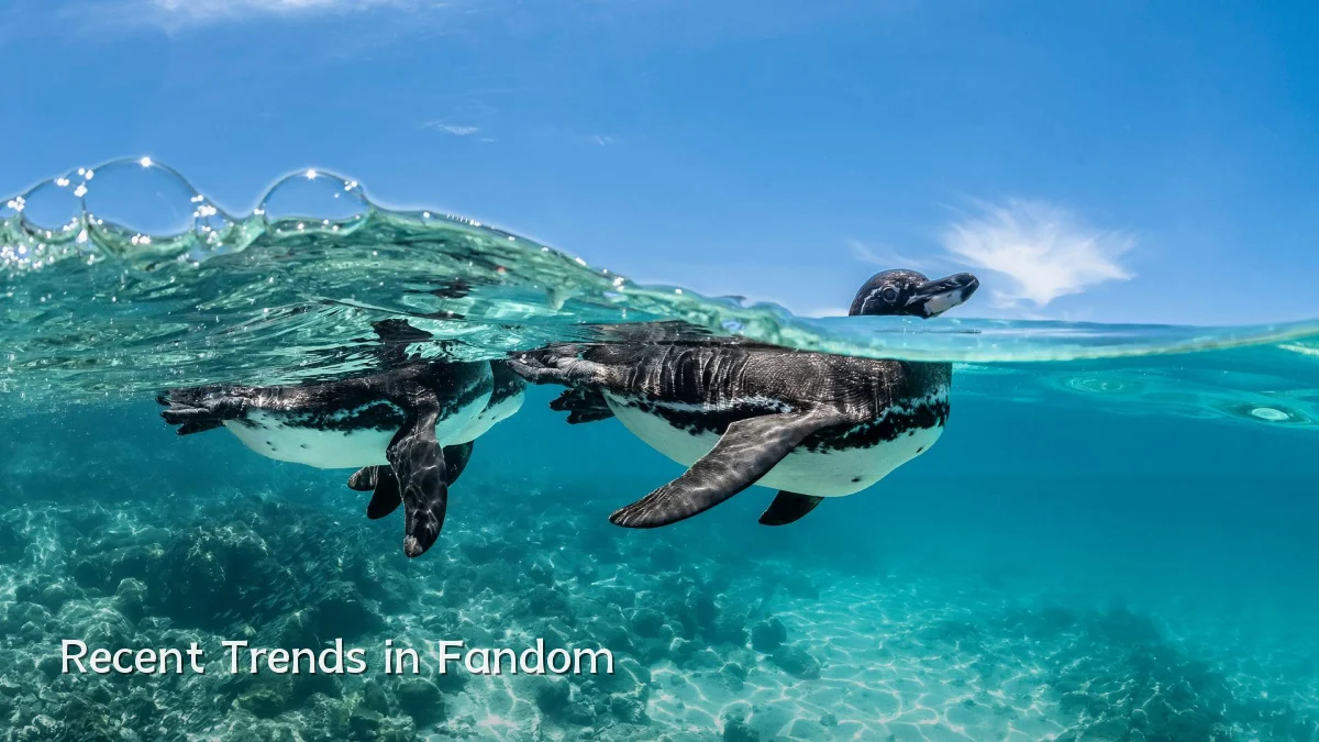 Recent Trends in Fandom