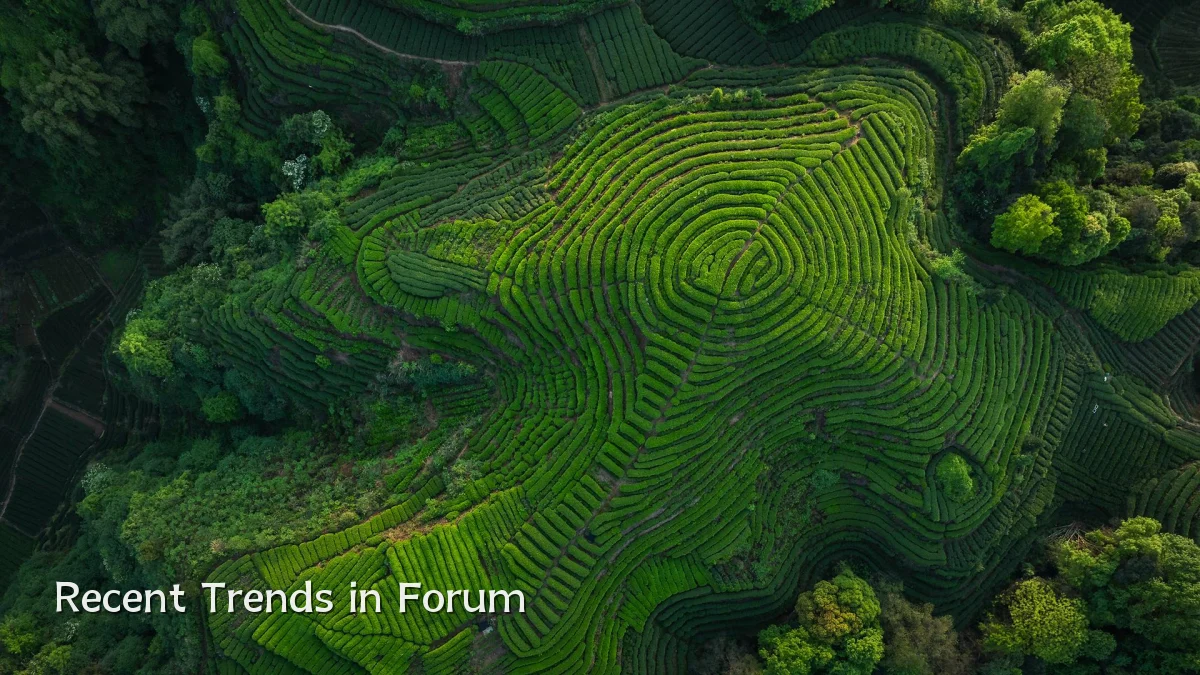 Recent Trends in Forum