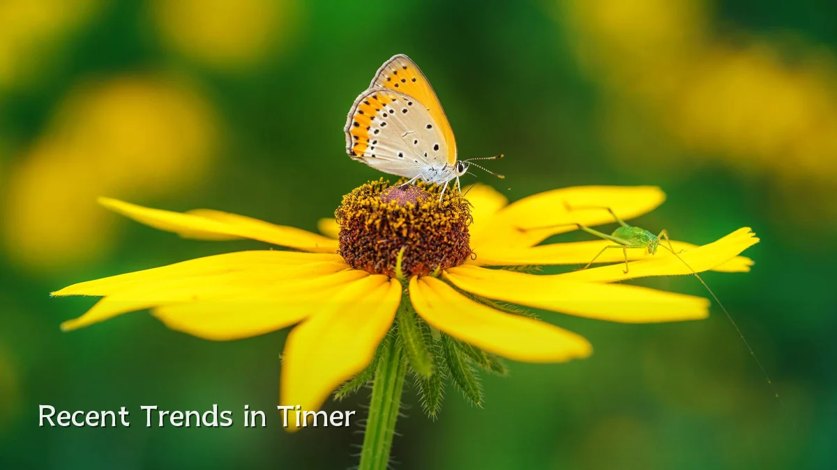 Recent Trends in Timer