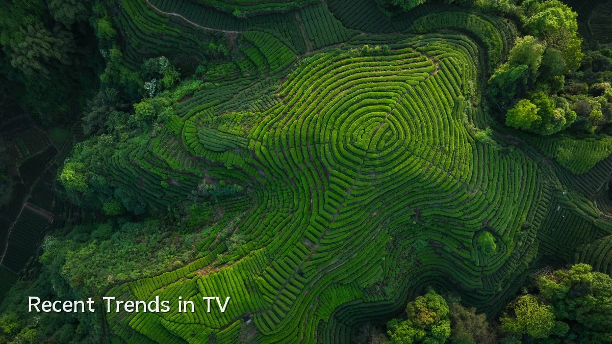 Recent Trends in TV