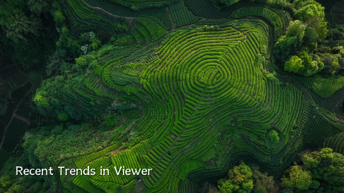 Recent Trends in Viewer