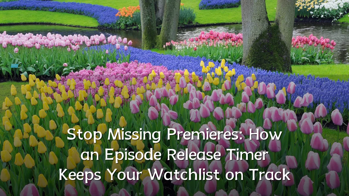 Stop Missing Premieres: How an Episode Release Timer Keeps Your Watchlist on Track