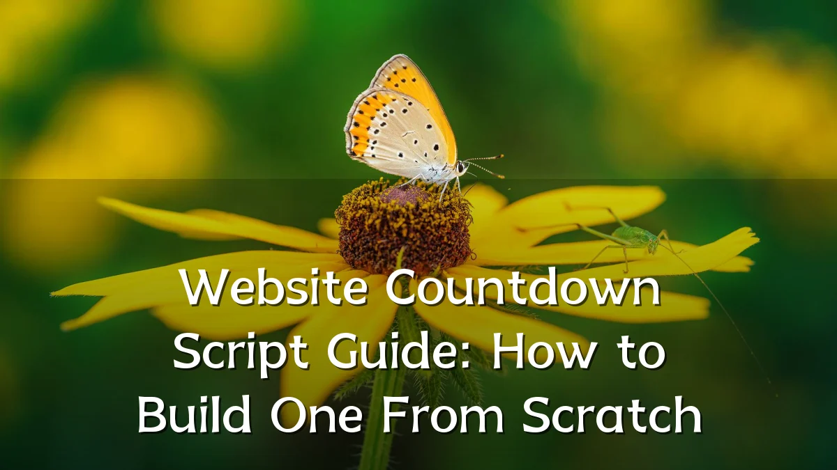 Website Countdown Script Guide: How to Build One From Scratch