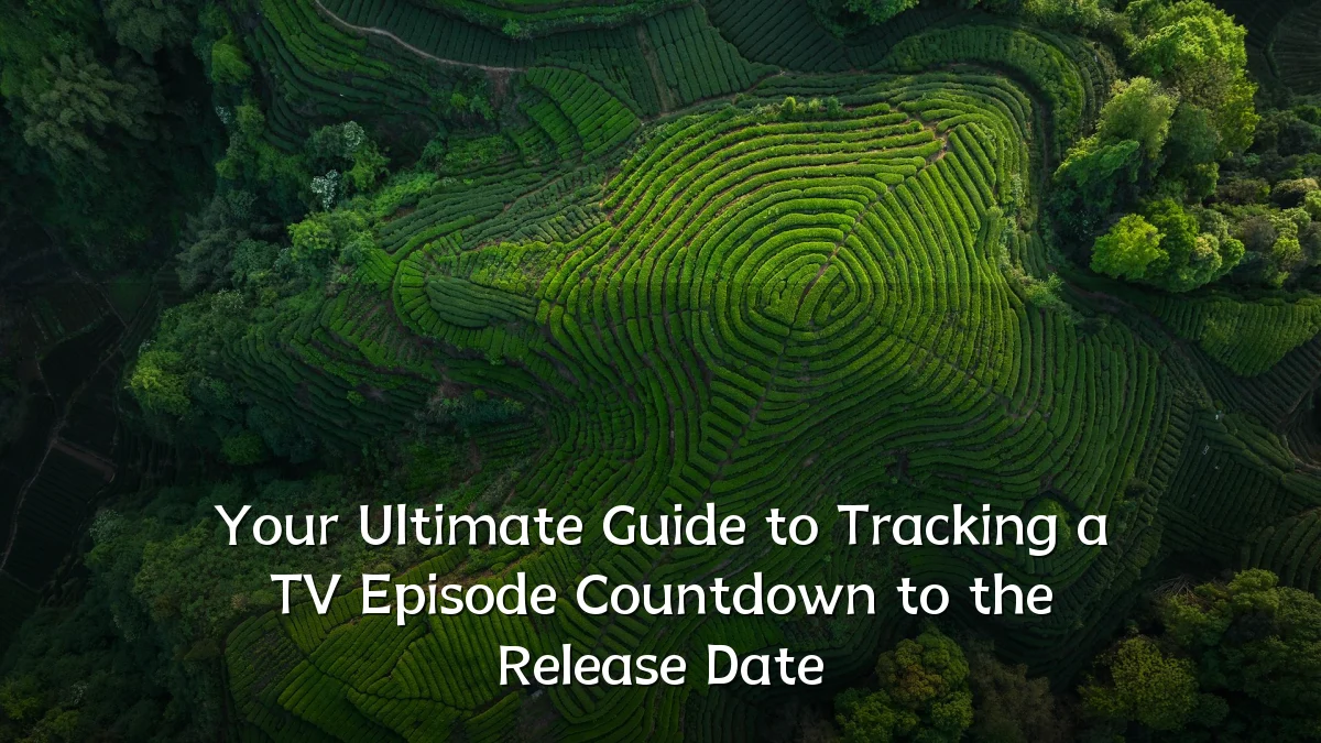 Your Ultimate Guide to Tracking a TV Episode Countdown to the Release Date